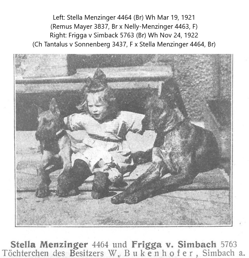 Stella Menzinger